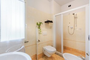 Shower, hair dryer, bidet, towels
