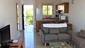 Una televisión de pantalla plana, un reproductor de DVD