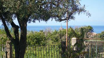 A tree-lined view with a stone wall and a metal fence.