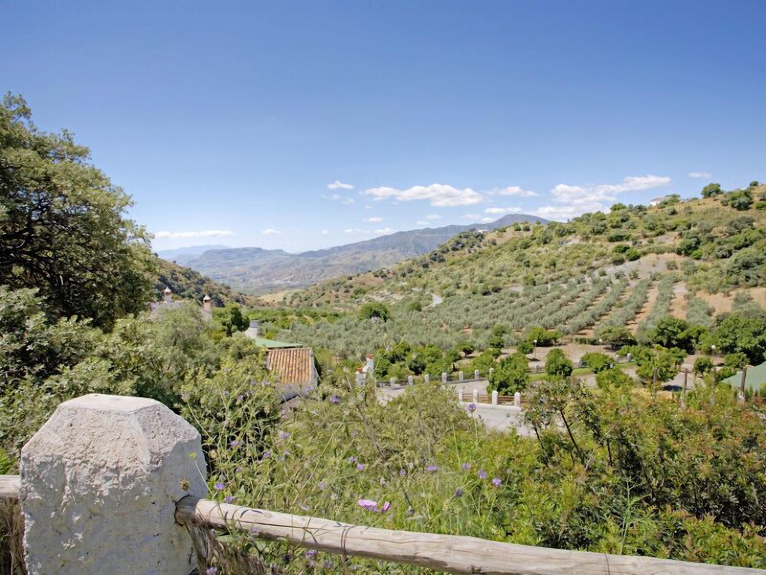 A rural landscape with a stone wall, olive groves, and a distant view of mountains.