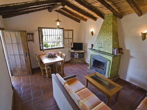 Smart TV, fireplace, DVD player, books