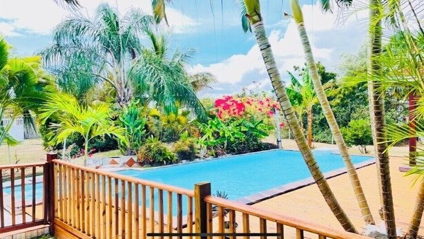 Una piscina rodeada de plantas tropicales y palmeras, con una terraza de madera al frente.
