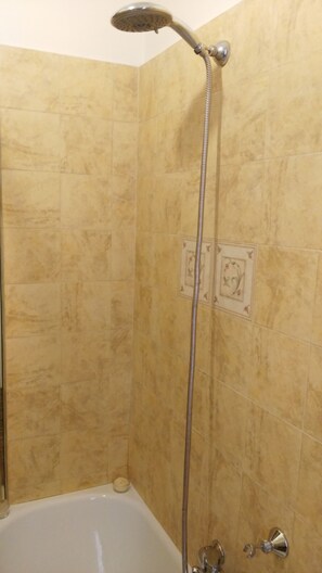 Combined shower/tub, hair dryer, bidet, towels