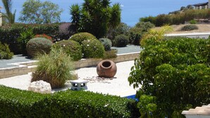 Een tuin met diverse planten en een grote pot.