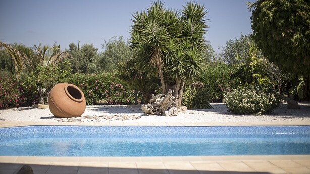 Een zwembad met helderblauw water, omringd door diverse planten en een grote terracotta pot.