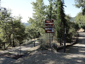 Explore Borgo di Montefieni from this scenic trail entrance.