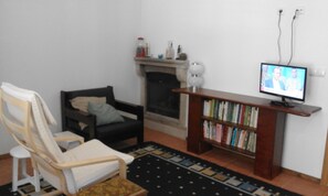 TV connectée, cheminée, livres, médiathèque