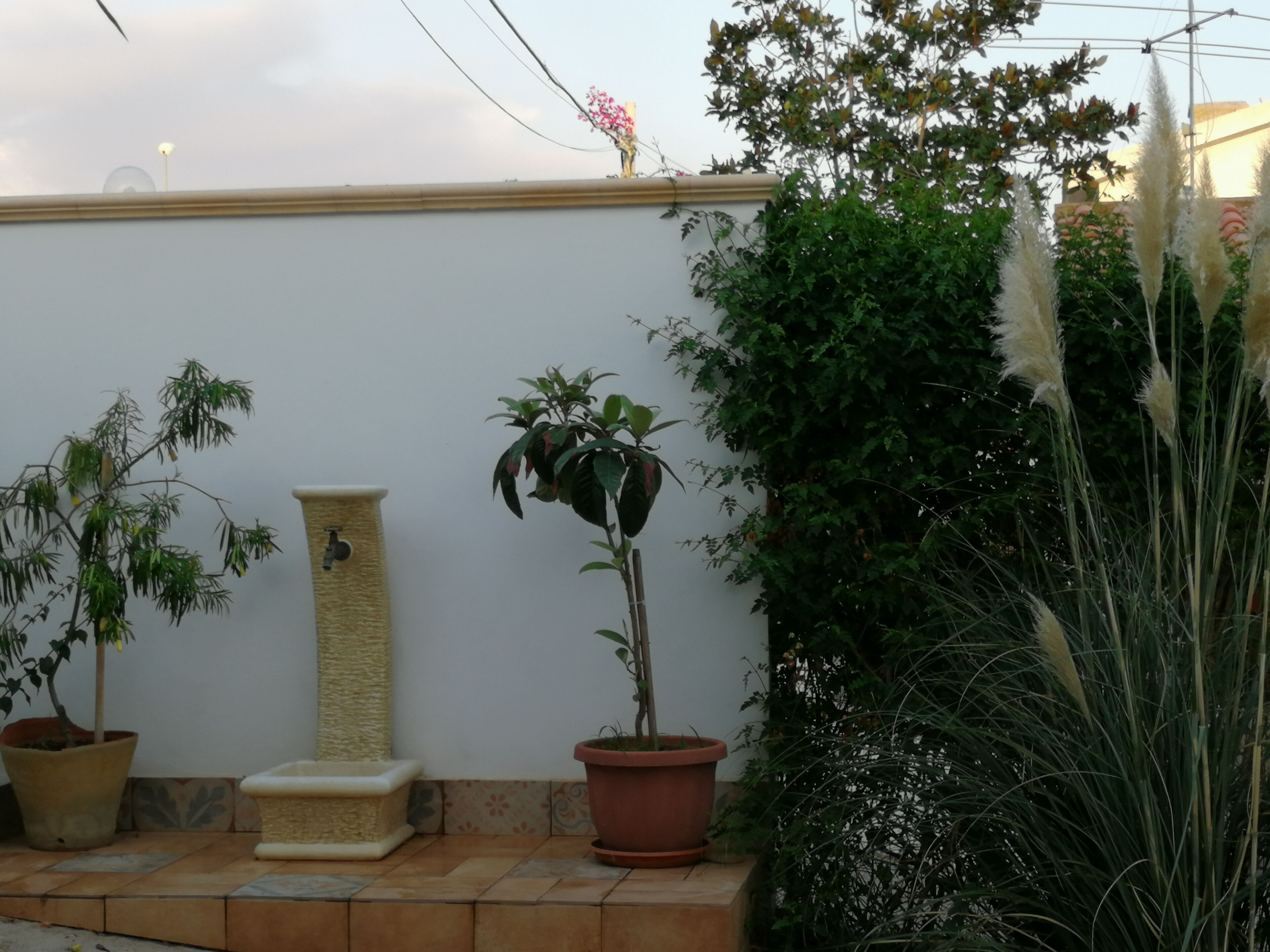A garden with potted plants, a small cat tree, and tall grasses.