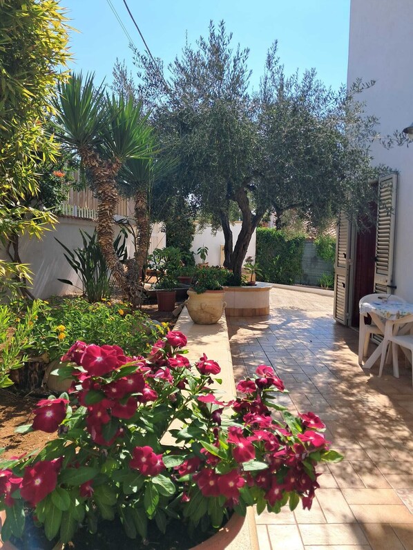 A courtyard with potted plants, a table, and a chair.