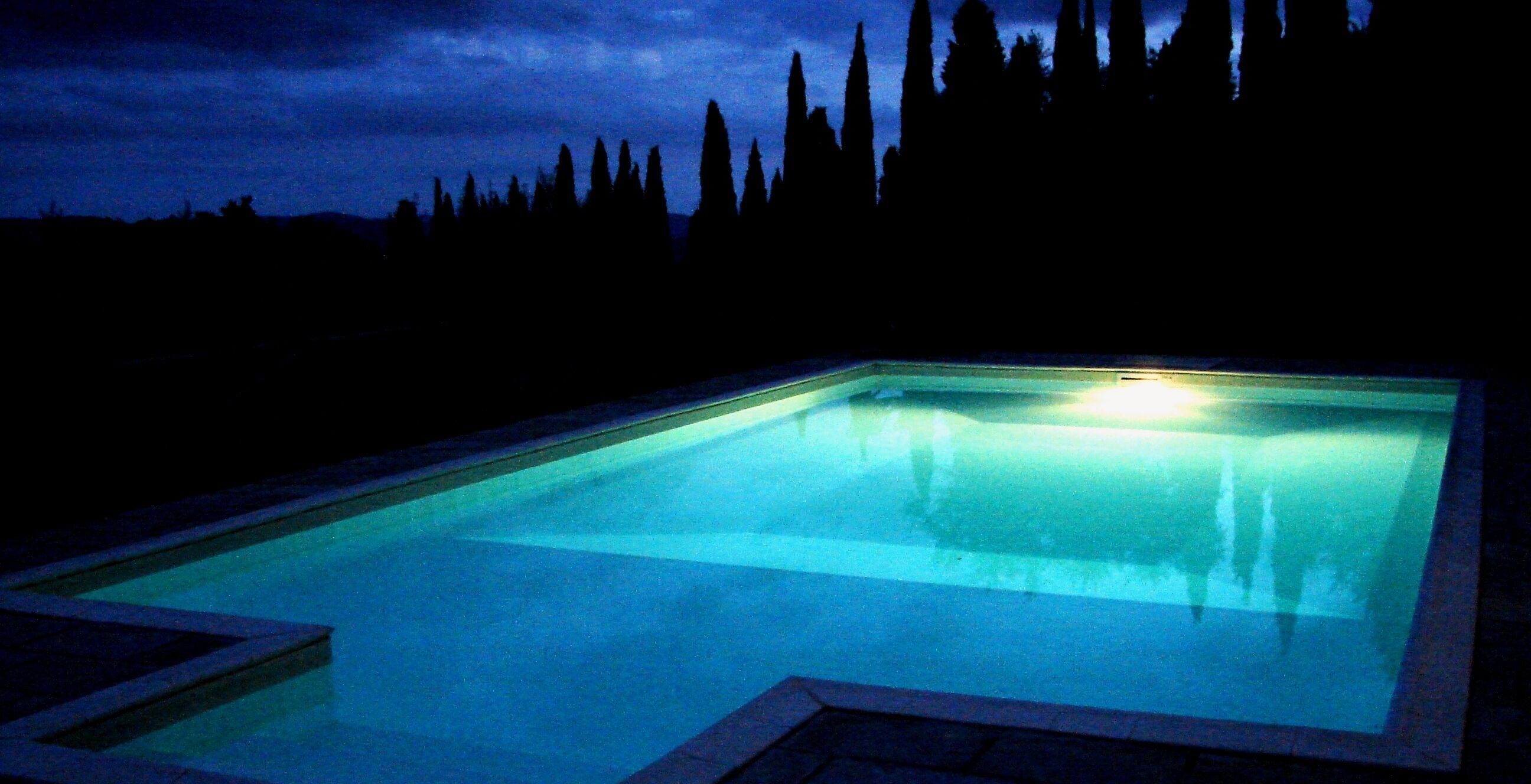 Une piscine au crépuscule, avec en arrière-plan une vue sur de grands arbres.