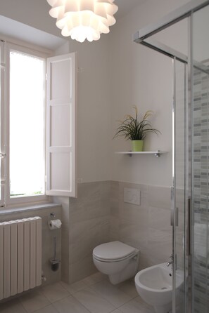 Shower, hair dryer, bidet, towels