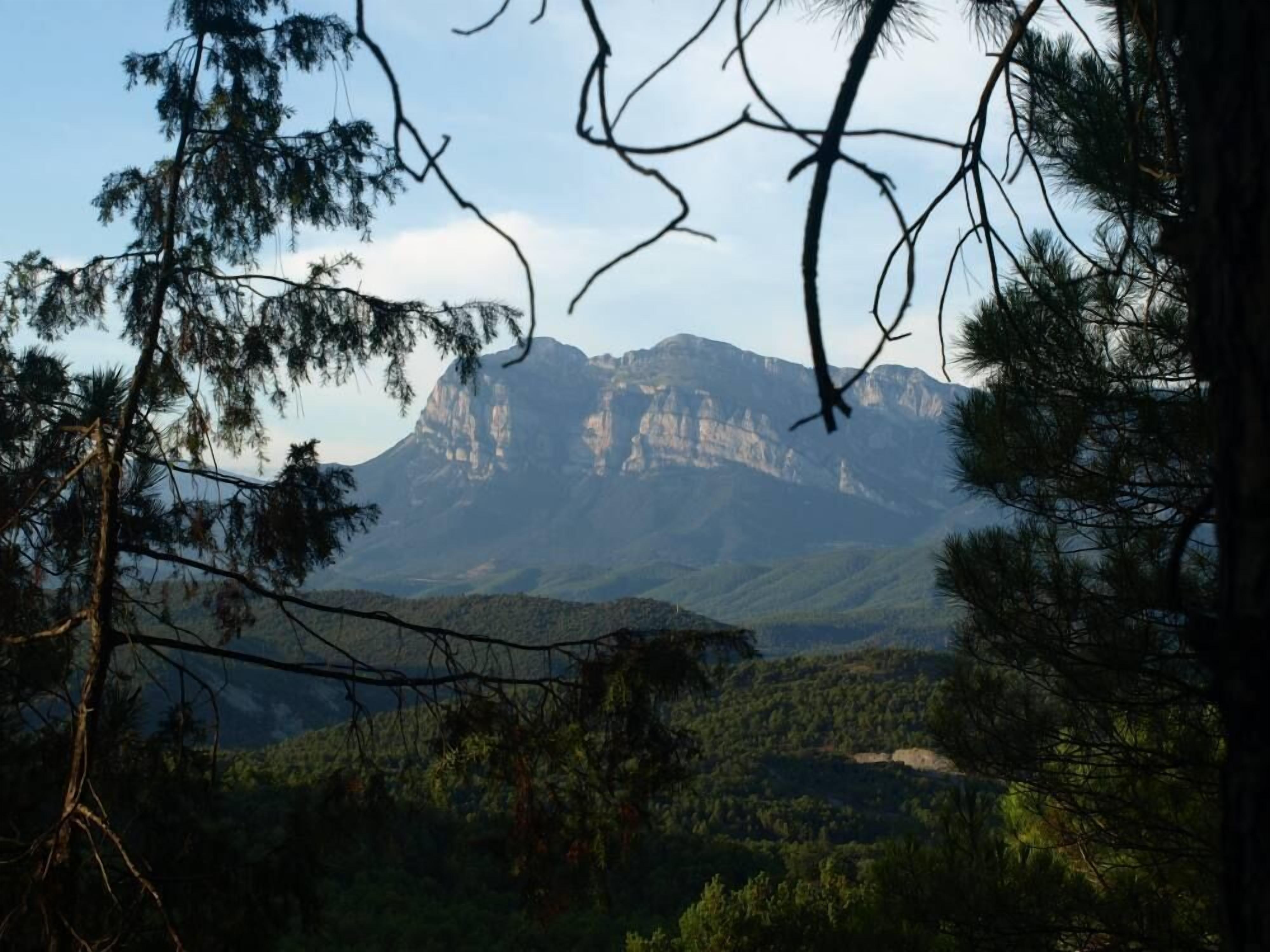A mountainous landscape with dense forest and rocky cliffs.