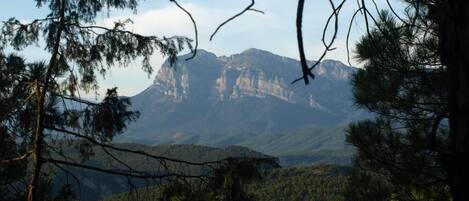 A mountainous landscape with dense forest and rocky cliffs.