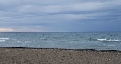 LO Entwurf SEA ETRUSCO 4-NATURE KUNSTGESCHICHTE