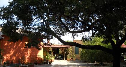 Kahden huoneen huoneisto maatilalla lähellä merta