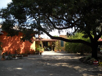 Two-room apartment on a farm near the sea