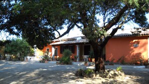 A building with a tiled roof and a garden area with potted plants and a tree.