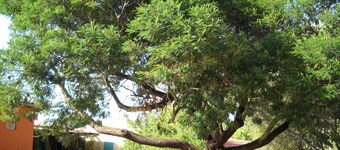 Two-room apartment on a farm near the sea