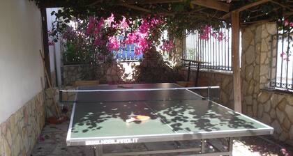 LÄHELLÄ Meriä ja kaukana meluista