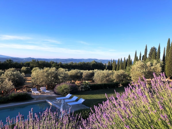 Outdoor pool - Poggio Corsucci.Panoramic mansion with swimming pool between Florence and Arezzo (Loro Ciuffenna (Province of Arezzo))