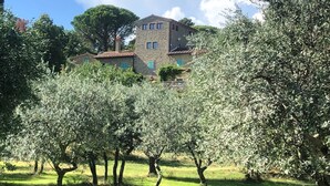 A stone building with a traditional design, surrounded by olive trees. - Poggio Corsucci.Panoramic mansion with swimming pool between Florence and Arezzo (Loro Ciuffenna (Province of Arezzo))