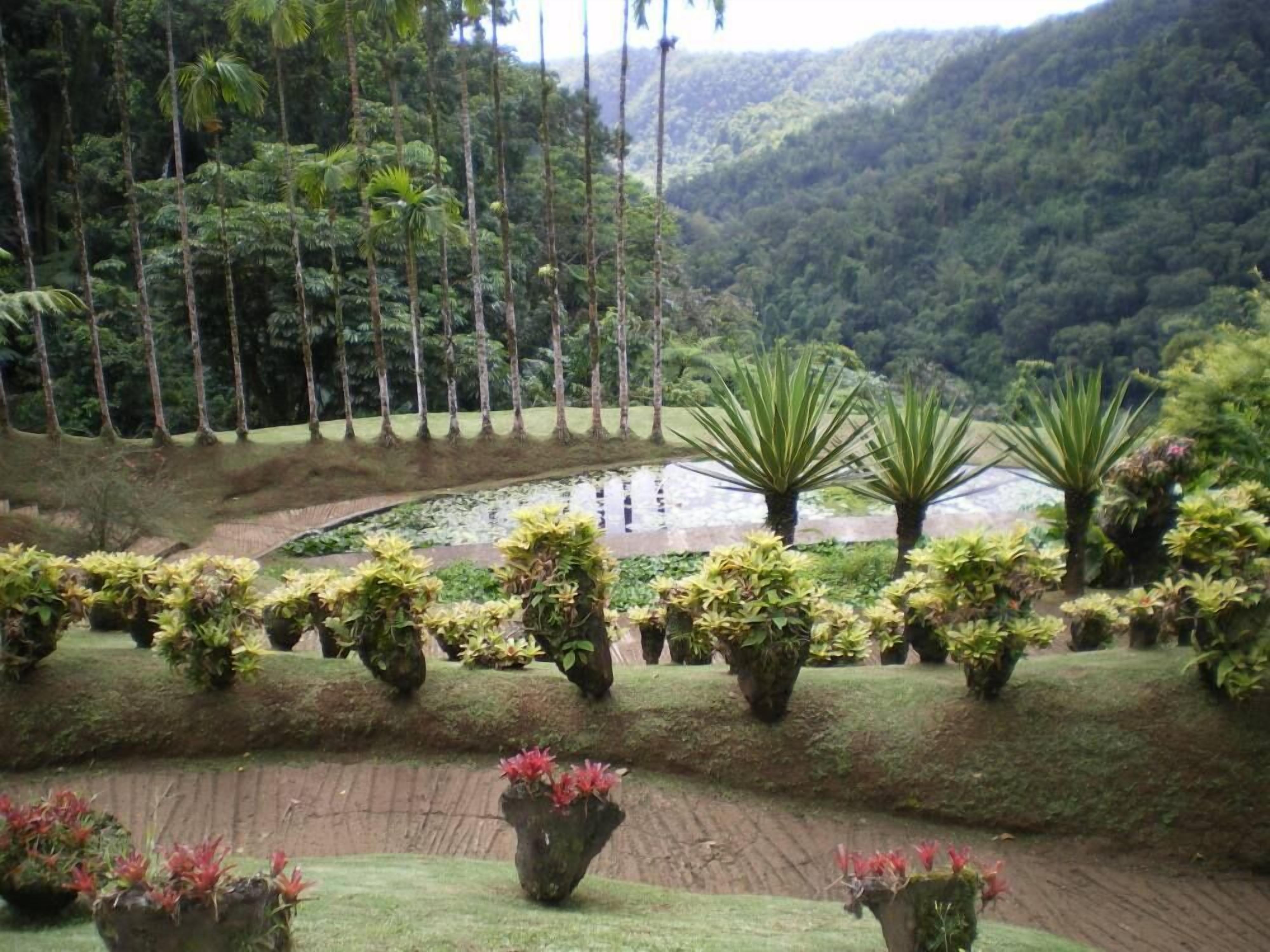 le jardin de balata