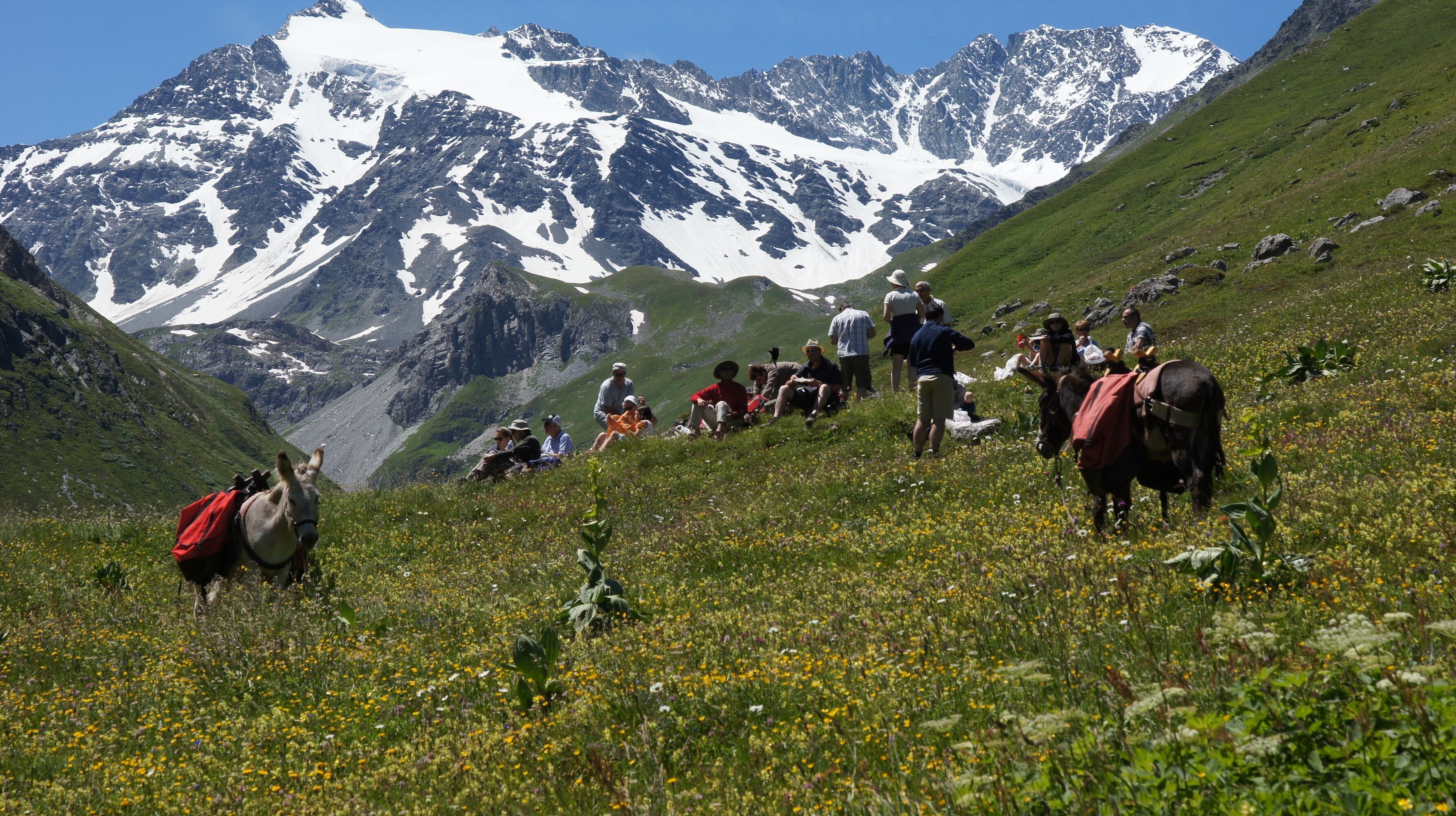 Un paisaje montañoso con excursionistas y un burro.