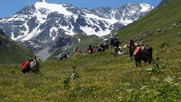 Un paisaje montañoso con excursionistas y un burro.