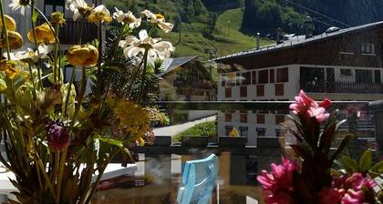 Pralognan La Vanoise: Sup apart plein Centre, Nature, parc National Vanoise1450