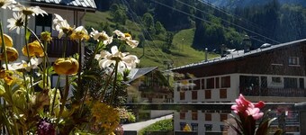 Pralognan La Vanoise: Sup voll auseinander Zentrum, Natur, Nationalpark Vanoise1450