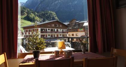 Pralognan La Vanoise: Sup apart plein Centre, Nature, parc National Vanoise1450