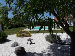 Un jardin avec une piscine, des allées de gravier et différentes espèces de plantes.