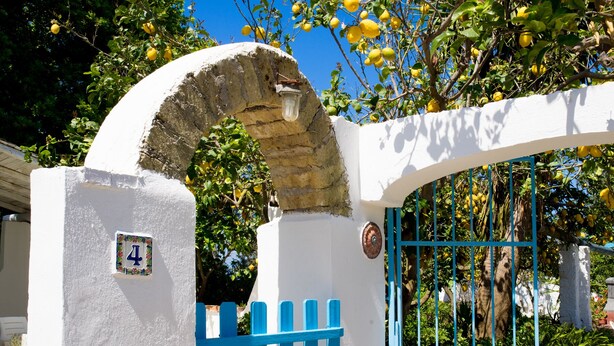 Un bâtiment blanc avec une porte bleue et un arc en pierre.