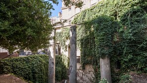 A courtyard with a metal fence, a tree, and a building partially covered in ivy.