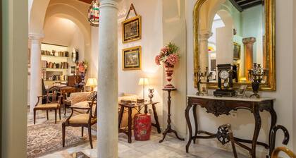 OFFRE! GRANDE MAISON SEĂORIALE AU CENTRE SEVILLE. INTERNET WIFI, CLIMATISATION