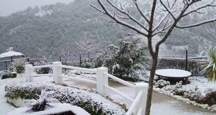 Maaseudun majoitus Mamuojon mökki