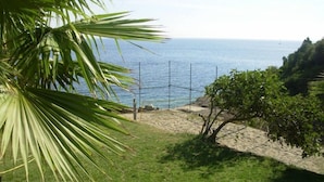 Une plage avec un filet de volley-ball, des palmiers et une vue sur la mer.