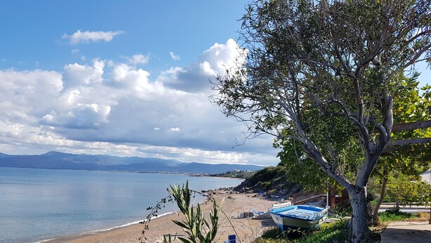 Ein Strand mit Booten, einem Baum und blauem Himmel.