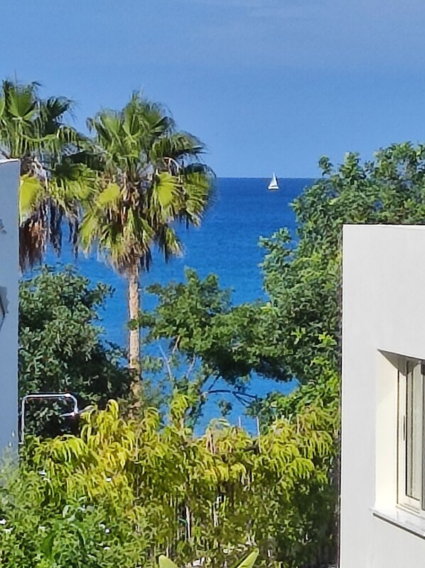Blick auf eine Küstenlandschaft mit einem Segelboot auf dem Wasser, Palmen und einem Gebäude mit einem Fenster.