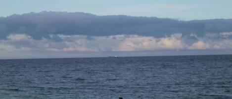 A view of the sea with a wooden breakwater in the foreground and a ship in the distance.