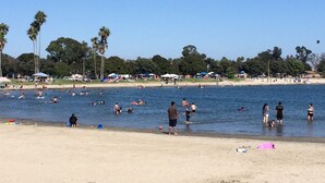 A beach with people swimming and sunbathing. There are palm trees and umbrellas in the background. -  ☀️Sunny Courtside House, 🏖STEPS TO OCEAN OR BAY, Bikes! South Mission BeachSD (San Diego)