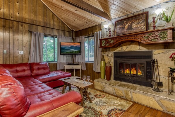 TV, peis og DVD-spiller