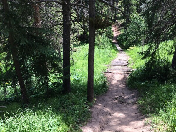 A forested trail with a dirt path. - Ski-In, Ski-Out, Corner Unit. Sleeps 4. Hot Tubs, Pool, 65" OLED TV. Near Base (Winter Park)