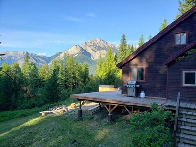 Stay Golden - Harnett House