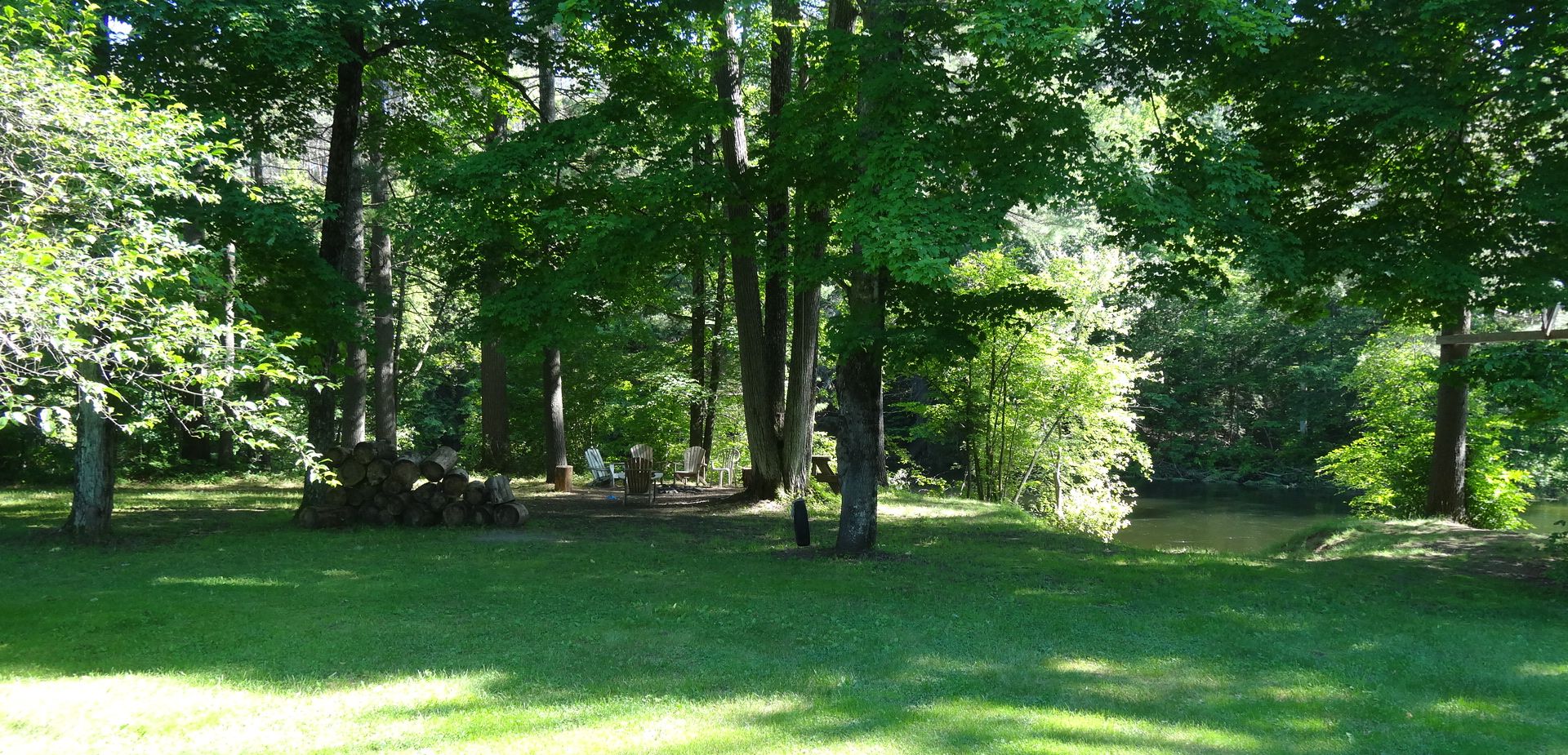 Area boscosa con tavolo e sedie da picnic, una pila di legna da ardere e un piccolo stagno.