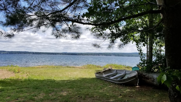 Vista del lago con un bote y una silla cerca de un árbol.