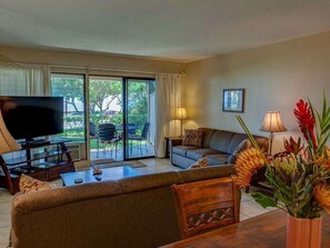 Tv, dvd-afspiller, bøger, stereoanlæg