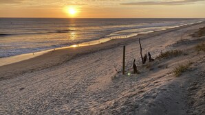 Une plage au coucher du soleil, avec un rivage sablonneux et quelques oiseaux.