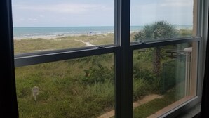 Uitzicht vanuit een raam op een strand met een duinpaaltje, een grasveld en een palmboom.