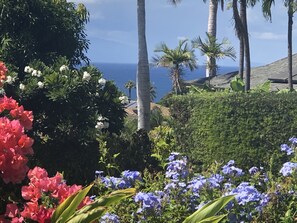 Property grounds - CLOUD 9 BEACH HOUSE, MAUI FAMILY OWNED, Walk to Beach, Oceanview,  Clean (Kihei)